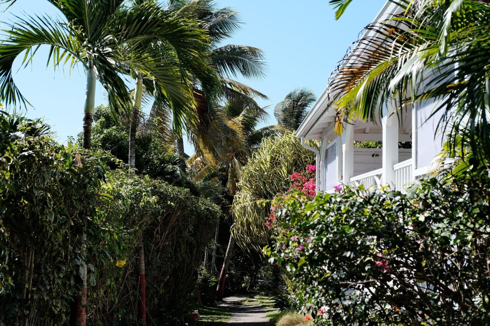 Vila Nid Kreyol Sainte-Anne  Exteriér fotografie